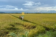 Kéo dài thời hạn miễn thuế sử dụng đất nông nghiệp đến hết năm 2030