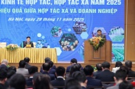 Tìm giải pháp đột phá, thúc đẩy phát triển khu vực kinh tế tập thể, hợp tác xã