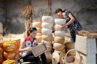 Tăng hỗ trợ từ ngân sách nhà nước để phát triển kinh tế tập thể, hợp tác xã