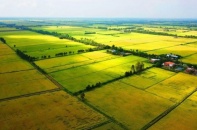 Đang xây dựng chính sách giảm tiền sử dụng đất khi chuyển từ đất nông nghiệp sang đất ở