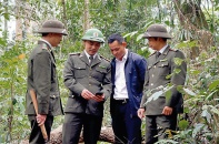 Chính sách đầu tư đối với rừng đặc dụng