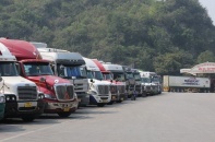 Tạm dừng áp dụng Nghị định số 46/2026/NĐ-CP đến hết ngày 15/4/2026