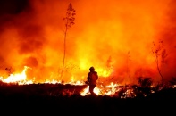 Không để hạn hán, xâm nhập mặn, cháy rừng gây ảnh hưởng đến doanh nghiệp và người dân