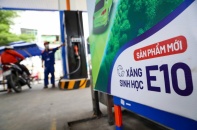 Triển khai lộ trình sản xuất, phối trộn và sử dụng nhiên liệu sinh học