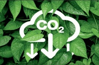 Bộ Tài chính, Bộ Nông nghiệp và Môi trường thiết lập và vận hành sàn giao dịch các-bon