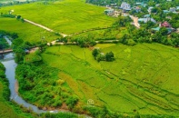 Chuyển gần 600 ha rừng tại Lương Sơn làm 3 dự án đô thị hơn 8.000 tỷ đồng