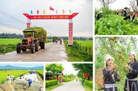 Điều kiện công nhận xã đạt chuẩn nông thôn mới, nông thôn mới hiện đại