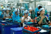 Tiêu chí doanh nghiệp nhỏ và vừa: Doanh thu không quá 400 tỷ đồng, lao động không quá 300 người 