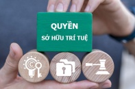 Tên miền xâm phạm quyền sở hữu công nghiệp: Buộc thay đổi tên doanh nghiệp, hộ kinh doanh 