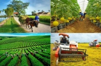 Đến năm 2030 cả nước có 500 tổ hợp tác ứng dụng công nghệ cao vào sản xuất