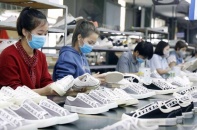 Hỗ trợ doanh nghiệp, hợp tác xã, hộ kinh doanh tận dụng các FTA để xuất khẩu
