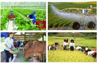 Mở rộng đối tượng hỗ trợ, nâng mức hỗ trợ phí bảo hiểm nông nghiệp