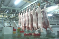 Bộ Nông nghiệp lên tiếng về tình trạng bơm nước, dùng búa đập gia súc