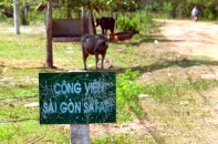 Hoang tàn Dự án Công viên Sài Gòn Safari 500 triệu USD