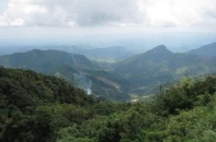 Quảng Nam muốn thu hồi đất trồng rừng của Innovgreen