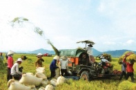 Lập nhóm tác chiến “kéo” đầu tư tư nhân vào nông nghiệp