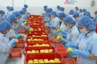 Đồng bằng Sông Cửu Long mời gọi đầu tư vào 62 dự án với tổng vốn 4 tỷ USD