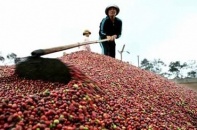 Hàng trăm tấn hàng Việt Nam chuẩn bị "đổ bộ" sang Liên bang Nga