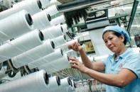 Doanh nghiệp không cần thông tin 1.000 trang về TPP nếu không hiểu, không dùng được