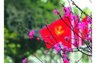 Niềm tin Đổi mới