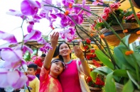Khám phá đường hoa Nguyễn Huệ ngày Tết