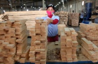 Nghỉ Tết kéo dài, xuất khẩu tháng 2 sụt giảm mạnh