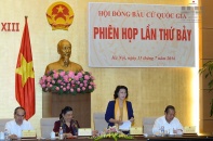 Hội đồng bầu cử Quốc gia không công nhận tư cách đại biểu Quốc hội với ông Trịnh Xuân Thanh