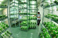 Xác định rõ nội hàm đổi mới mô hình tăng trưởng