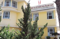 Những nghị quyết gây bão tại Công ty Địa ốc Đà Lạt (tiếp theo)