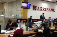 Phá sản ALC2 không ảnh hưởng tới hoạt động của Agribank và tiền gửi của khách hàng