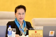 Chủ tịch Quốc hội: Đừng đổ thừa vướng mắc đều do Luật Đầu tư công