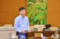 Chính phủ bảo vệ phương án "đổi vai" trong giải trình, tiếp thu luật