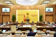 Luật hoá hộ kinh doanh: "Không nhất thiết phải cầu toàn"