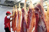 Giá thịt lợn cao ngất ngưởng, do đâu? - Bài 1: Thực hư việc nhân viên công ty chăn nuôi ăn chặn giá