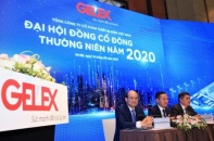 ĐHĐCĐ Gelex: Sở hữu chi phối Viglacera là nhiệm vụ hàng đầu trong năm 2020