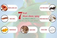 7 thảo dược quý tự nhiên giúp bảo vệ và giảm các triệu chứng bệnh về gan