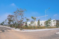 Đất nền Nghệ An “sôi động” dịp đầu năm