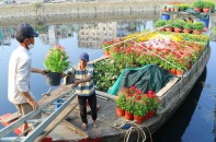 Chợ hoa xuân "trên bến dưới thuyền" nhộn nhịp trước ngày khai hội 