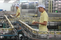 ​​Khai thác thực phẩm khỏe lành, Vinasoy nổi bật trên đường đua dinh dưỡng thực vật