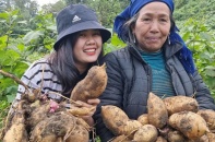 Nữ Tiktoker 9X thành công nhờ giúp bà con nông dân tiêu thụ nông sản bằng công nghệ số