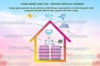 Cùng Havy Indoor Farm nhân rộng mô hình nông nghiệp xanh cho đô thị Việt Nam
