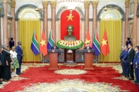Việt Nam luôn coi trọng mối quan hệ hữu nghị truyền thống với Nam Phi