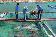 KLC Group đầu tư phát triển thủy hải sản trong giai đoạn mới