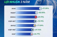 Tìm kiếm cơ hội giữa thị trường phân hóa mạnh: Lời khuyên từ quỹ mở đạt hiệu suất đầu tư 3 năm cao nhất hiện nay