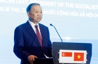Biến kết nối công nghệ Việt Nam - Singapore thành hợp tác thực chất