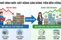 Bất động sản dòng tiền: Bài học từ thị trường đã chuẩn hóa
