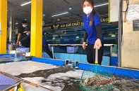 TP.HCM: Quận đầu tiên triển khai thí điểm “bình thường mới”