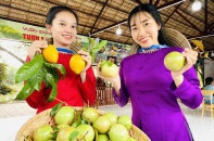 Trái cây Đồng bằng sông Cửu Long rộn ràng ra chợ Tết