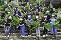 Hàng trăm cây xanh được trao tặng miễn phí cho người dân TP.HCM dịp “Tết trồng cây”