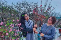[Ảnh] Chợ hoa Tết Cẩm Phả rộn ràng sắc xuân vùng mỏ
